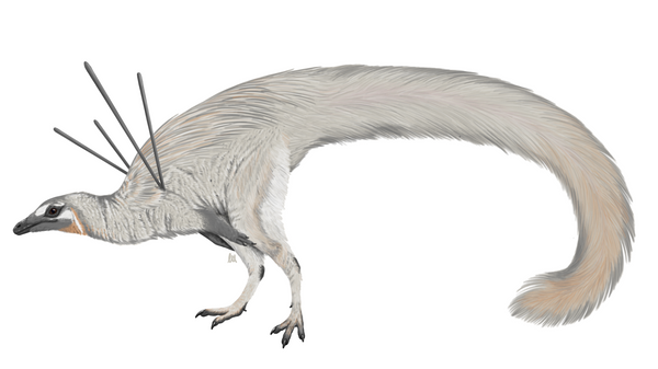 A life reconstruction of Ubiraja jubatus depicted by an artist - Sputnik International