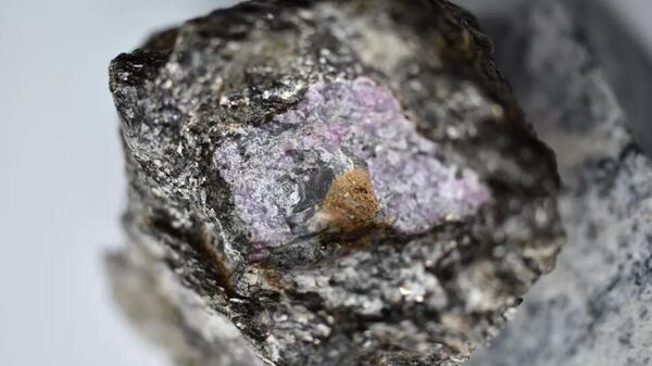 Scientists discover hints of ancient life inside a 2.5 billion-year-old ruby - Sputnik International