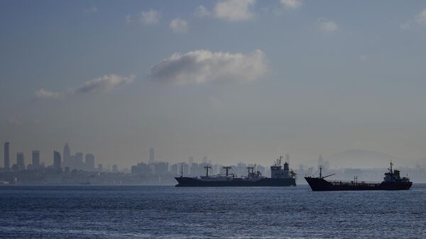 Cargo ships anchored in the Marmara Sea await to cross the Bosphorus Straits in Istanbul, Turkiye, Tuesday, Nov. 1, 2022. - Sputnik International