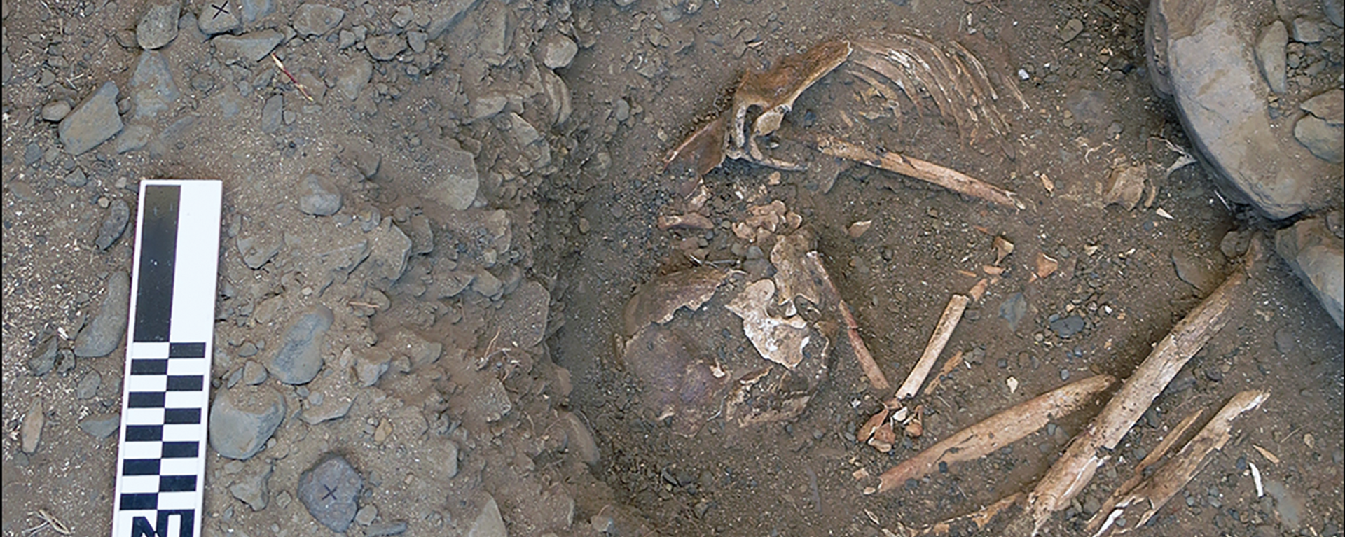 Burial 3 in a pit at the northern edge of the mortuary cavity. Burials 1–2 were recovered from pits in the background - Sputnik International, 1920, 14.12.2022
