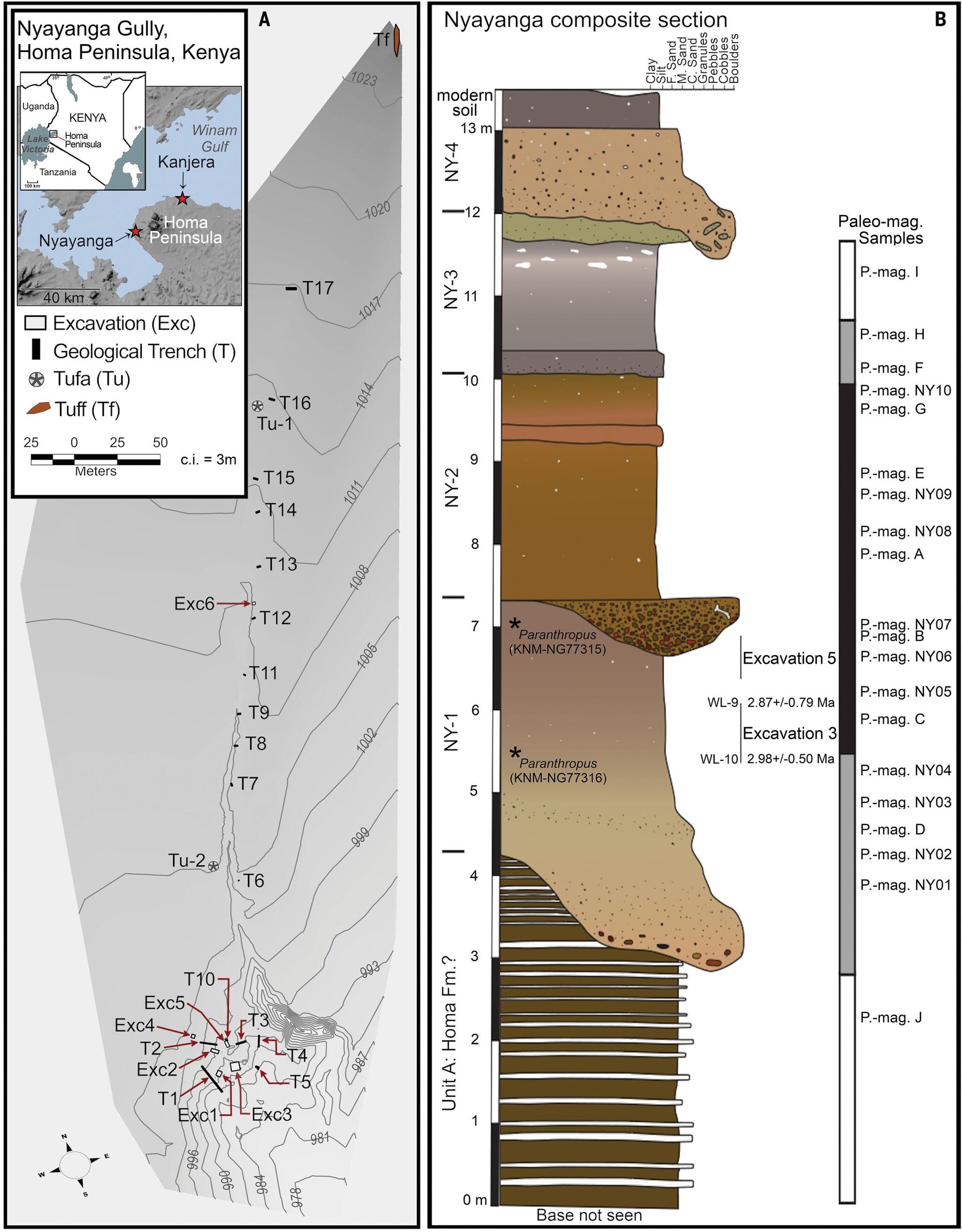 Nyayanga gully, stratigraphy, magnetostratigraphic data, and apatite crystal dating results. Nyayanga gully, stratigraphy, magnetostratigraphic data, and apatite crystal dating results. - Sputnik International, 1920, 10.02.2023
