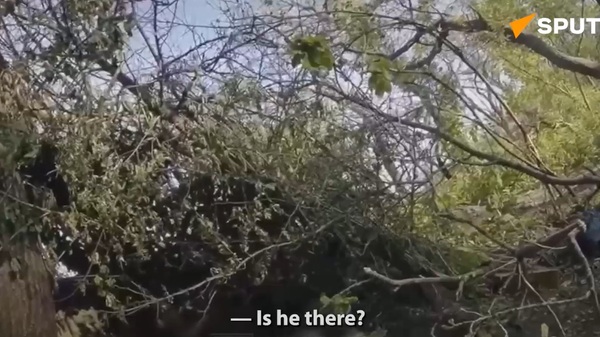 Russian Soldier Sacrifices Himself to Avoid Ukrainian Captivity  - Sputnik International