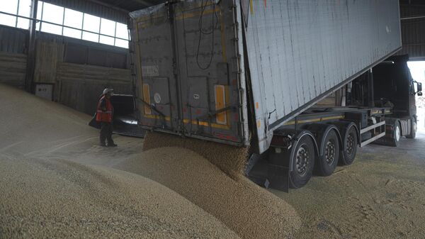 A truck unloads grain at a grain port in Izmail, Ukraine, Wednesday, April 26, 2023. U.S. and European officials have toured Ukraine's southern port of Izmail, a facility that is important in bringing Ukrainian grain exports to the world - Sputnik International