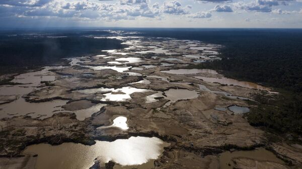 This March 28, 2019 photo shows thousands of hectares of Amazon jungle destroyed by illegal miners, in the Tambopata province, one of three that make up Peru's Madre de Dios department.  - Sputnik International