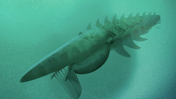 The reconstruction of a filter-feeding Aegirocassis benmoulae from the Ordovician Period feeding on a plankton cloud is shown in this artist rendering released to Reuters on March 10, 2015 - Sputnik International