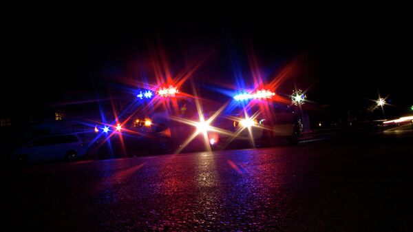 Police car lights - Sputnik International