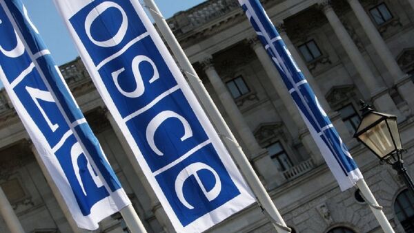 Flags with a logo of OSCE in Vienna - Sputnik International