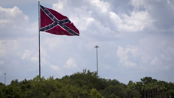 A large Confederate battle flag flies above highway 75 in Tampa Bay, Florida June 24, 2015 - Sputnik International