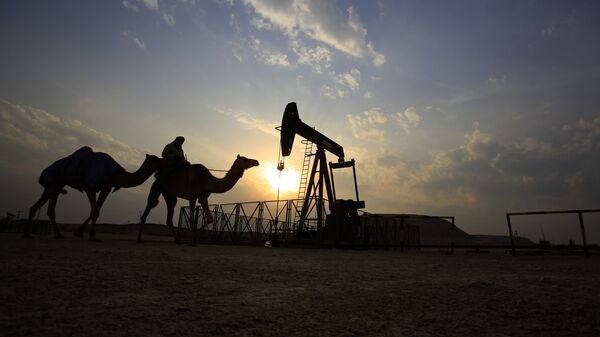 A man rides a camel through the desert oil field and winter camping area of Sakhir, Bahrain, Sunday, Dec. 20, 2015 - Sputnik International
