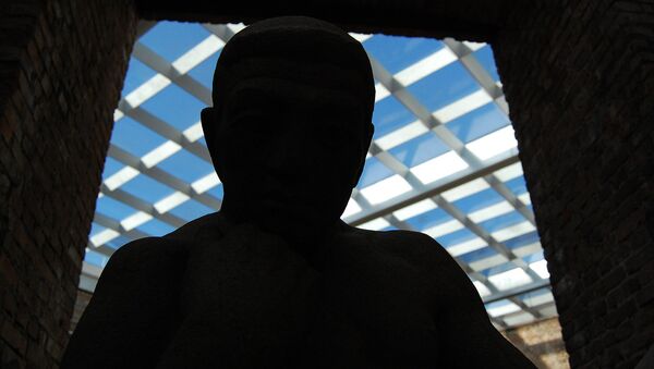 A man's silhouette - Sputnik International