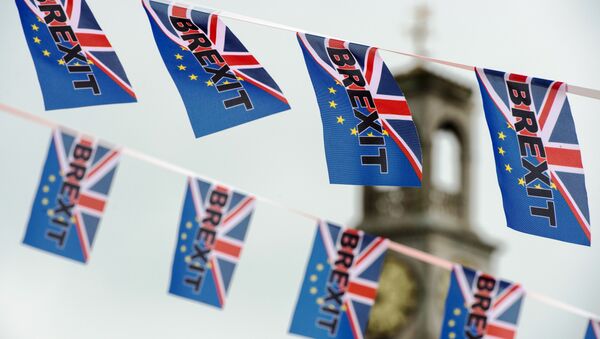 Pro-Brexit flags fly from a fishing boat moored in Ramsgate on June 13, 2016. - Sputnik International