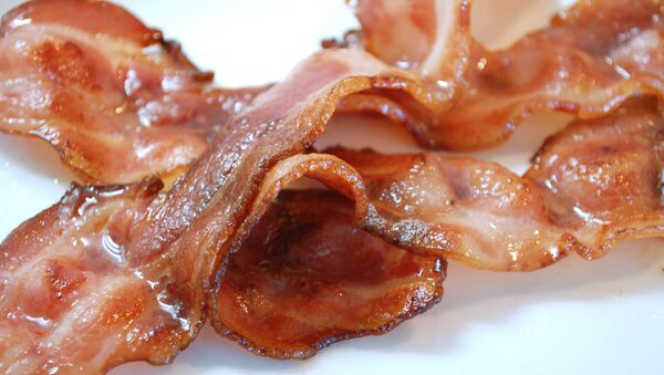 Bacon - Sputnik International