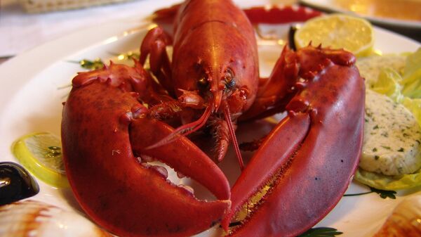 Lobster - Sputnik International