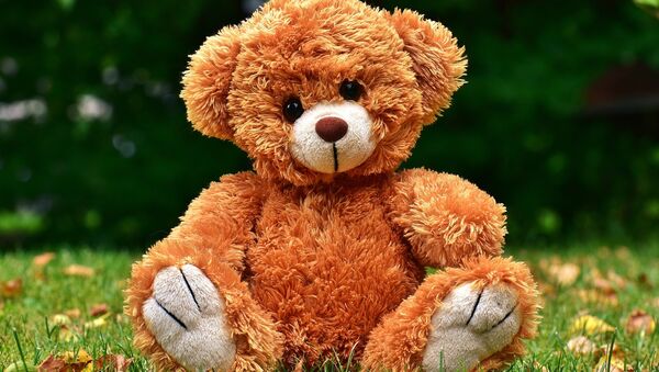 Teddy Bear  - Sputnik International