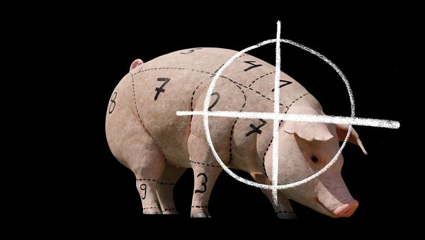 Pig - Sputnik International