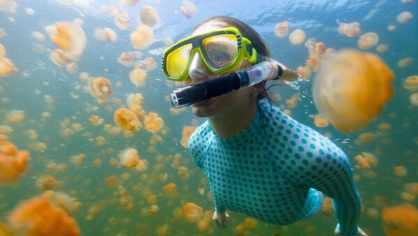 Breathtaking Golden Jellyfish Lake With 2Mln Underwater Inhabitants - Sputnik International