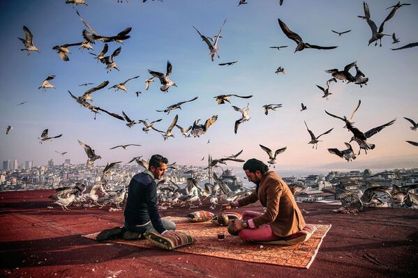 Turkey History on the Road Breakfast My Planet, single, honorable mention Turkey History on the Road Breakfast My Planet, single, honorable mention - Sputnik International