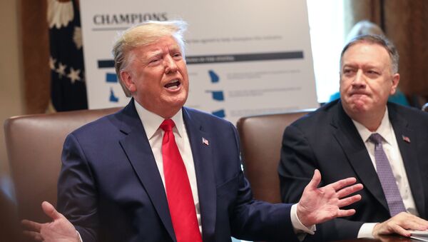 U.S. President Donald Trump speaks next to U.S. Secretary of State Mike Pompeo during a cabinet meeting at the White House in Washington, U.S., October 21, 2019 - Sputnik International