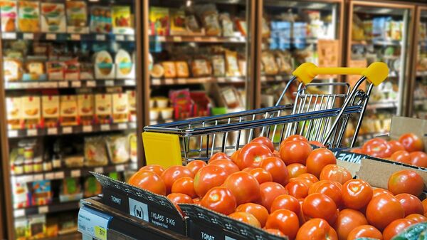 Shopping cart, grocery store - Sputnik International