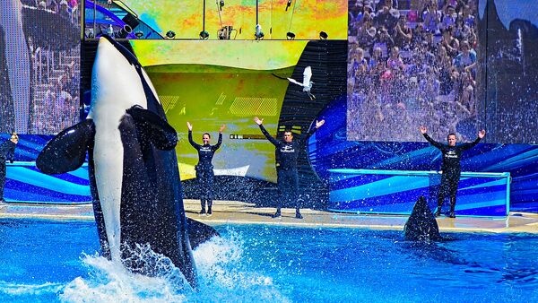 Sea World, San Diego, California, location  - Sputnik International
