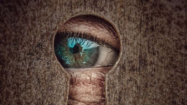 Spying - Sputnik International