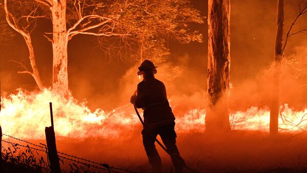 This picture taken on December 31, 2019 shows a firefighter hosing down trees and flying embers in an effort to secure nearby houses from bushfires near the town of Nowra in the Australian state of New South Wales. - Sputnik International