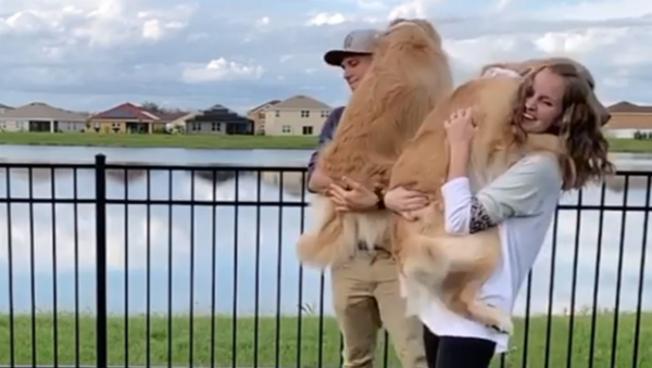 Life’s Better in Pairs: Golden Retriever Duo Runs to Couple  - Sputnik International