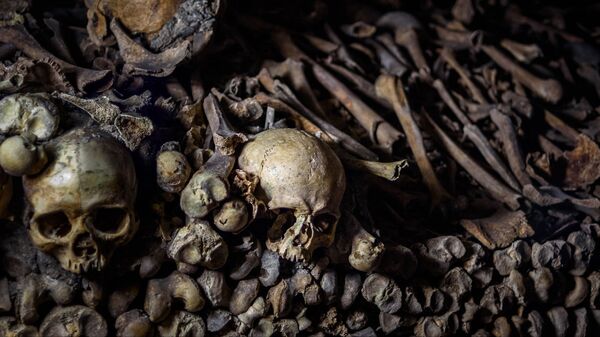 Human bones - Sputnik International